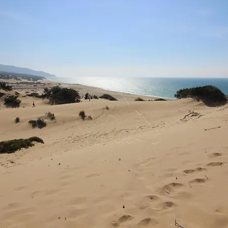 Ampio Marina Di *